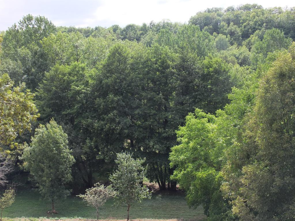 Gite Et Chambres D'Hotes - Sur Le Chemin Des Sens Azerat ห้อง รูปภาพ
